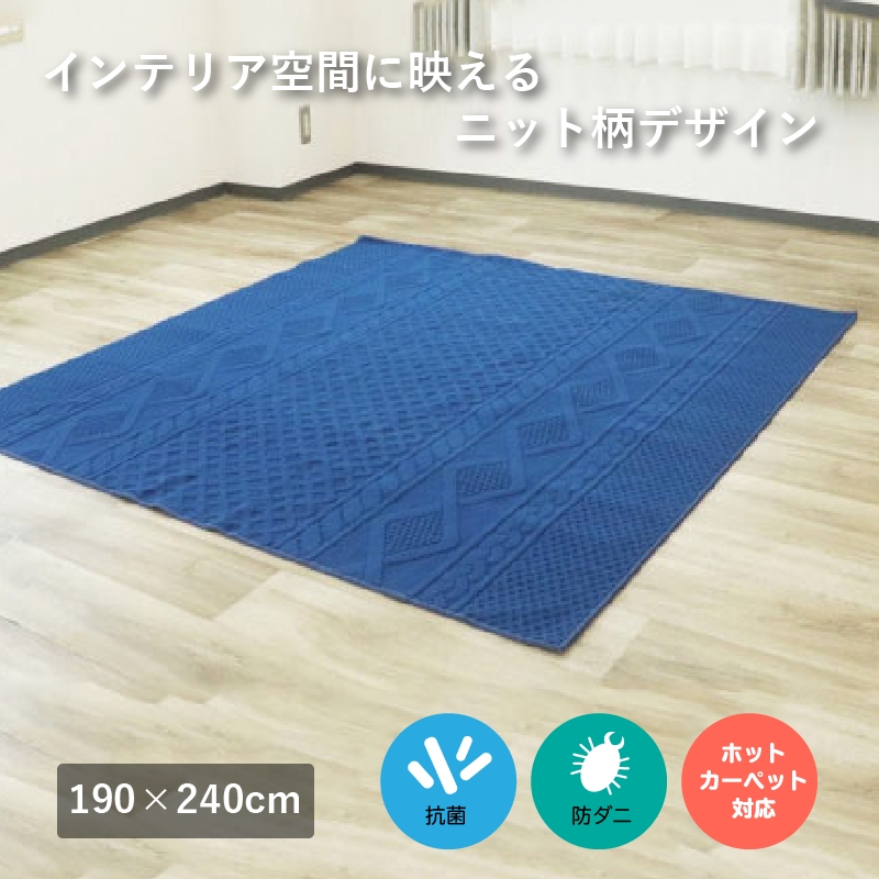 ニット柄ループラグ 190×240 ネイビー NT-9000 [3069]｜抗菌 防ダニ ラグ カーペット オールシーズン インテリア