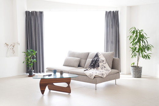 çµåå
¬åŒãã£ã©ã¯ã¿ãŒããã©ã³ãšã±ããã³ãã²ãæã