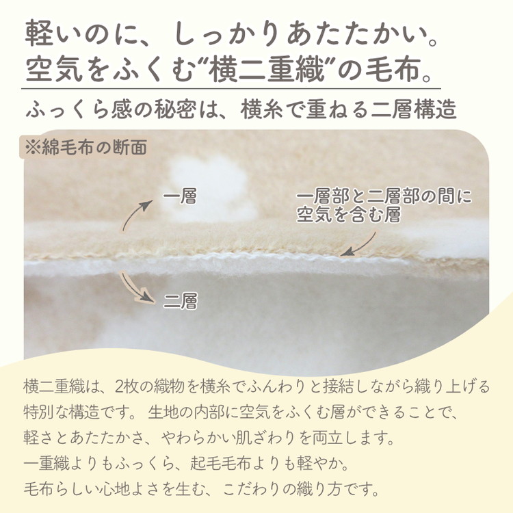ジュニア綿毛布 (オーガニック綿使用)・毛布の町泉大津市産 [1598]