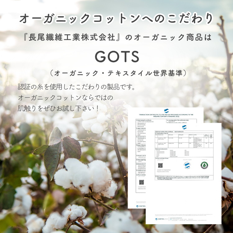ジュニア綿毛布 (オーガニック綿使用)・毛布の町泉大津市産 [1598]