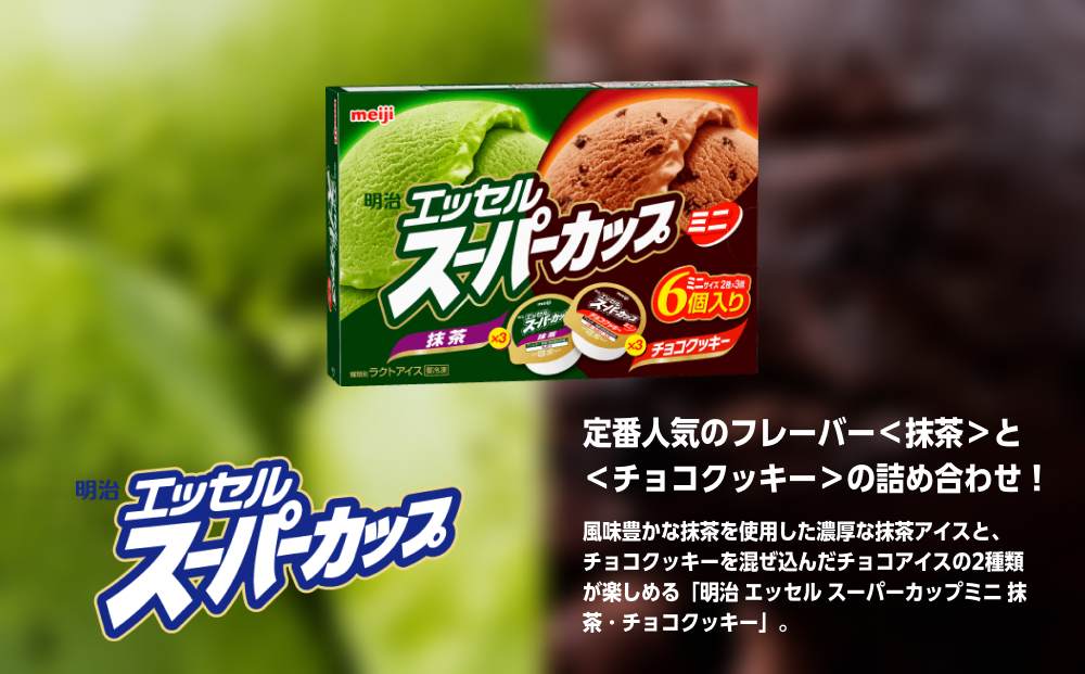 明治 エッセル スーパーカップミニ 抹茶・チョコクッキー 80ml × 2種 × 各3個　８箱