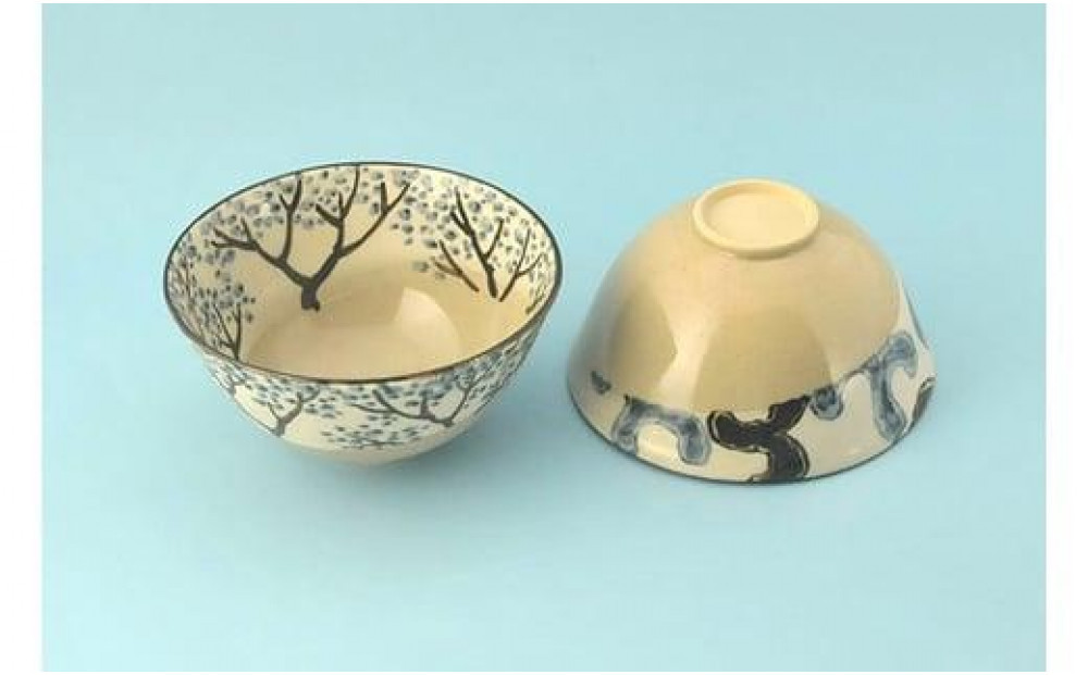 乾山 絵替飯碗 ５柄セット【水間焼伏原窯】