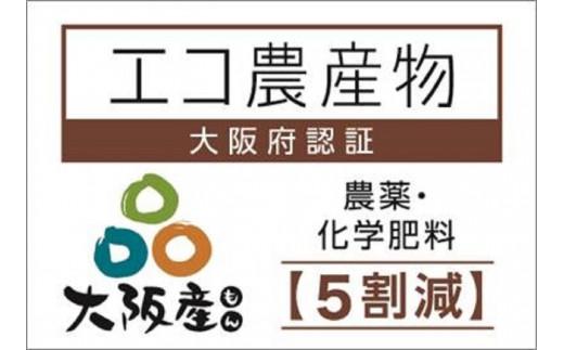 【貝塚市産】特選ブラックビート２房入り 1.4kg以上　2025年8月より発送