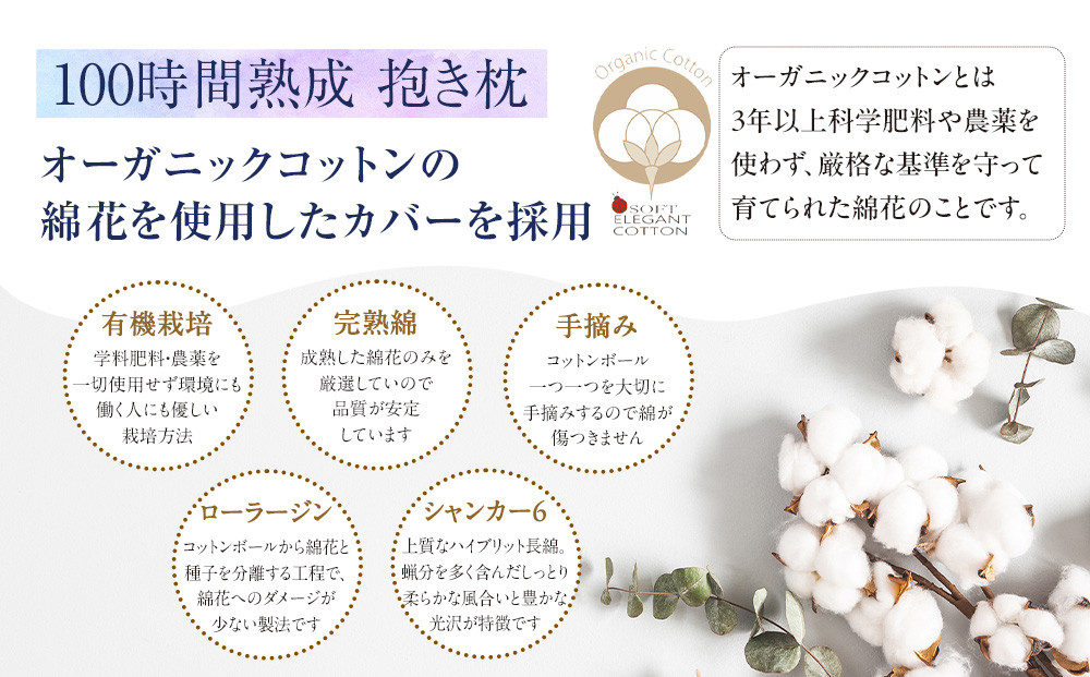 縲100譎る俣辭滓舌謚ア縺肴桾縲榊柱譎偵@繧ェ繝シ繧ャ繝九ャ繧ッ繧ウ繝繝医Φシオ蝙 (繝阪う繝薙シ)