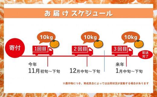 【定期便3回】11月～1月発送限定！貝塚市産 温州みかん10kg×3回