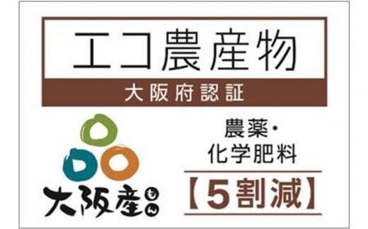 【貝塚市産】高級ぶどう３種詰合せ４～５房入り 約2.4kg　2025年8月より発送