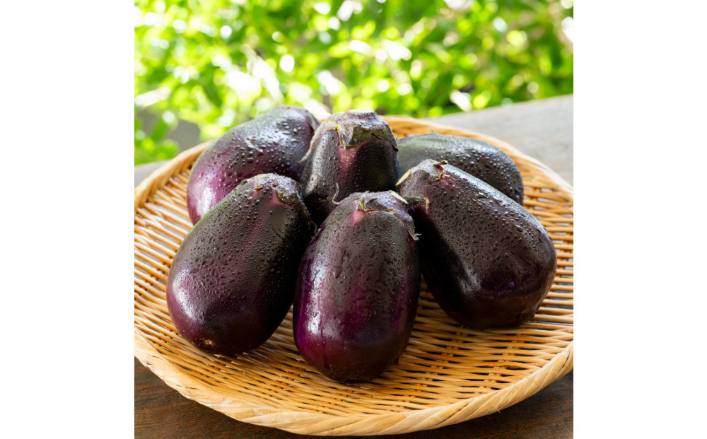 ã幎äžçºéãæ³å·ç¹ç£ãæ°Žãªã挬ããç¹éžã©ã³ã¯12åå
¥ã