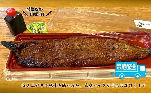 【うなぎ 国産 炭火焼】特大うなぎ蒲焼１尾（約200g）// うなぎ 鰻 ウナギ うなぎウナギ鰻蒲焼 国産うなぎ鰻ウナギ 貝塚市うなぎ鰻ウナギ うなぎ鰻ウナギ料理 大阪府貝塚市