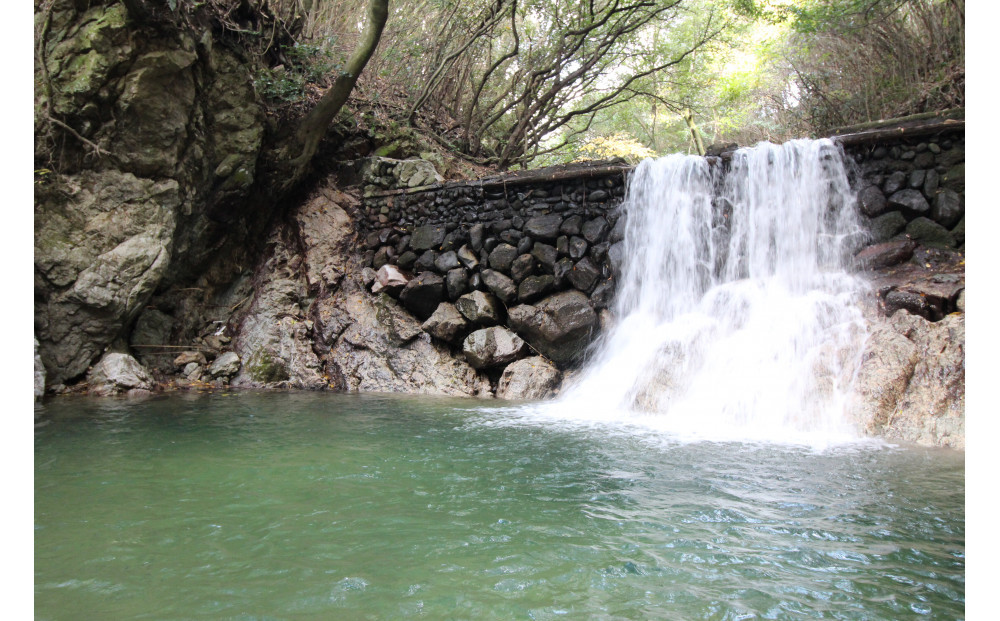≪貝塚市/アスレチック≫ 一日体験チケット(小人)３歳～小学生まで＼＼関西随一の広大な敷地／／大自然の澄んだ空気の中で身体をリフレッシュ！！