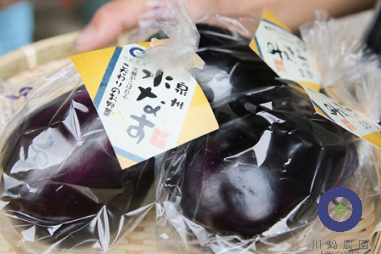 川崎農園　泉州水なす【極み】6房入　☆一つ星☆店も愛用の泉州水ナス