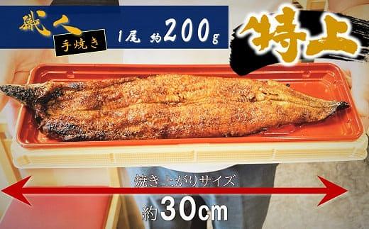 【うなぎ 国産 炭火焼】特大うなぎ蒲焼１尾（約200g）// うなぎ 鰻 ウナギ うなぎウナギ鰻蒲焼 国産うなぎ鰻ウナギ 貝塚市うなぎ鰻ウナギ うなぎ鰻ウナギ料理 大阪府貝塚市