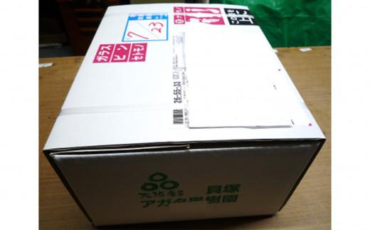 ＜2026年 先行予約8月中旬発送＞【貝塚市産】特選シャインマスカット 650g以上