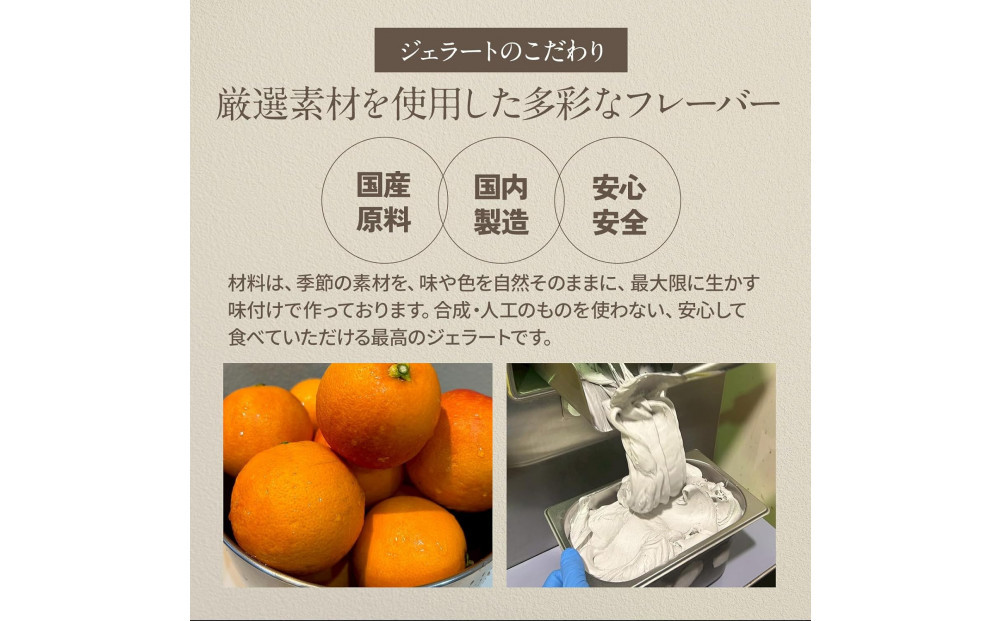 ジェラート 6種 9個 アソートセット ギフト スペシャルコーン付