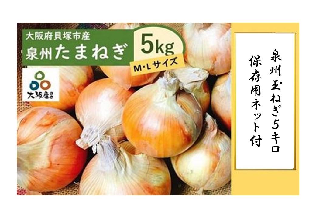 泉州玉ねぎ５kg　保存用ネット付