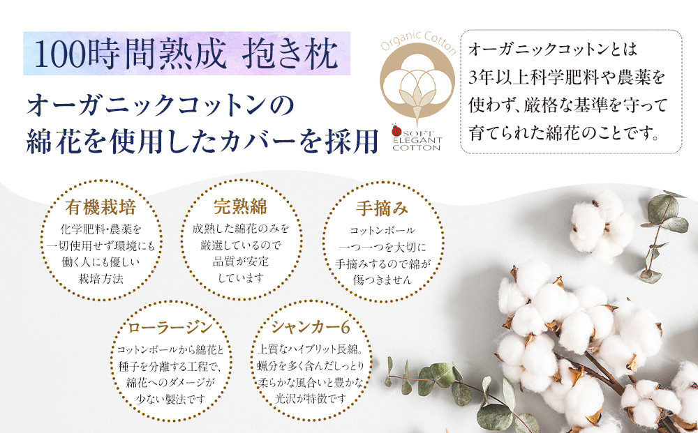 「100時間熟成　抱き枕」和晒しオーガニックコットン７型 (アイボリー)