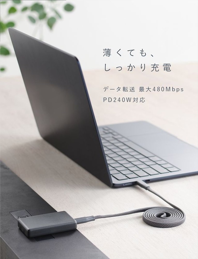 CIO ケーブル Mate Flat Spiral Cable CtoC Type-Cケーブル 充電 iPhone スマートフォン iPad ナチュラルホワイト｜小型 軽量 おしゃれ 便利 [2659]