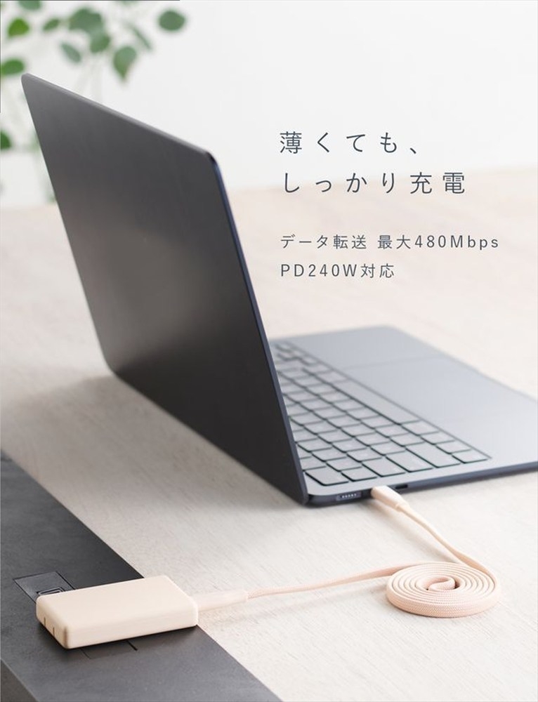 CIO ケーブル Mate Flat Spiral Cable CtoC Type-Cケーブル 充電 iPhone スマートフォン iPad シェルピンク｜小型 軽量 おしゃれ 便利 [2662]