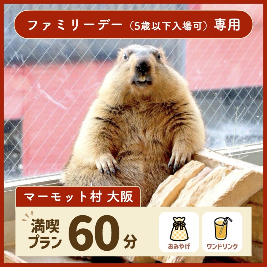 マーモット村大阪 体験チケット (ファミリーデープラン ワンドリンク＆お土産付き)｜カフェ 体験 動物 アニマルカフェ [2610]