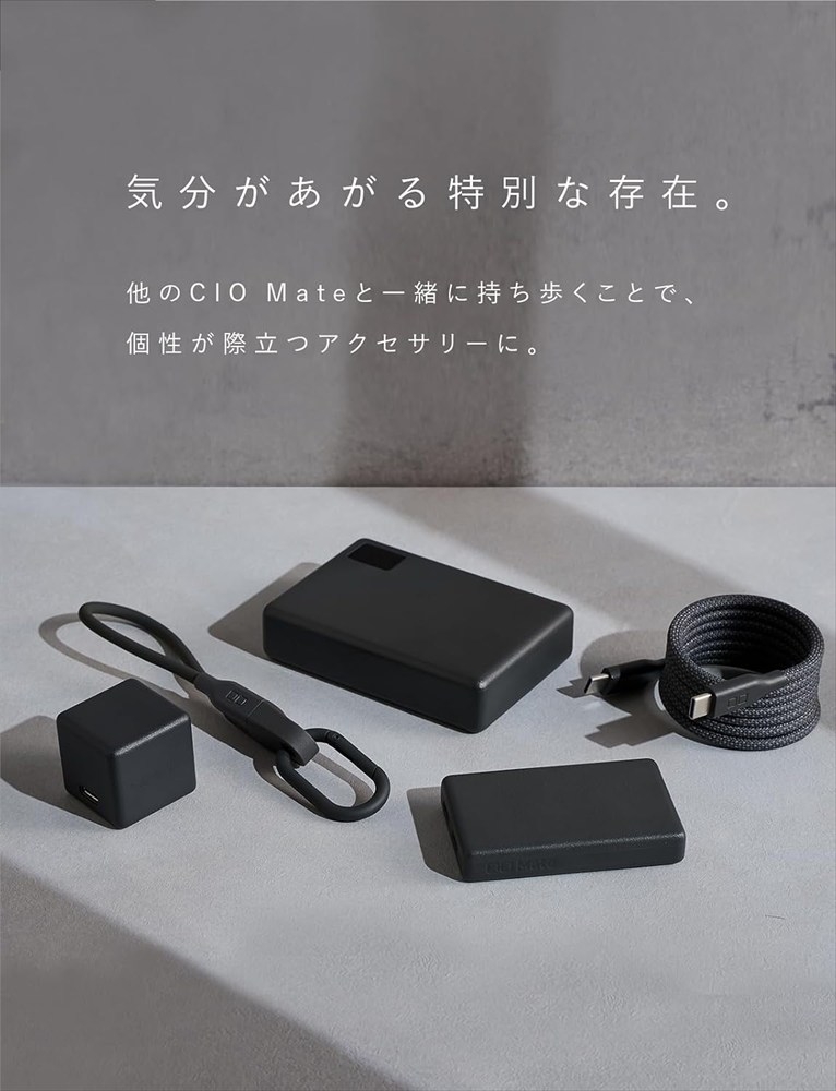 CIO 充電器 小型 急速充電 コンセント タイプC iPhone iPad Android Mate Charger002 ライトブラック｜小型 軽量 おしゃれ 便利 [2691]