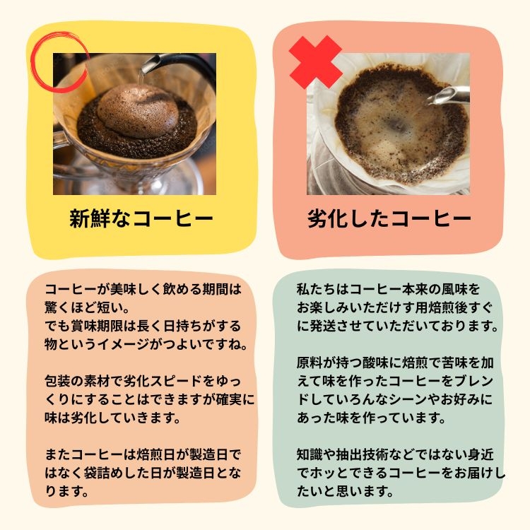 豊臣珈琲朱雀 豆 計1kg エチオピア／コロンビア産｜ 豊かな香り おいしい おうちカフェ 新鮮 香り コク 高級 プレゼント コーヒー鑑定士 厳選 大容量 [2604]