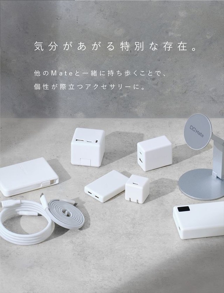 CIO ケーブル Mate Flat Spiral Cable CtoC Type-Cケーブル 充電 iPhone スマートフォン iPad ナチュラルホワイト｜小型 軽量 おしゃれ 便利 [2659]
