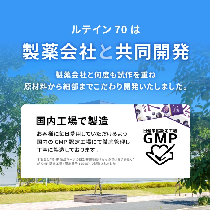 ルテイン70 60粒《製薬会社との共同開発》｜Lutein 70mg 高濃度 ビルベリー 30mg クランベリー ゼアキサンチン サプリメント 栄養機能食品 1ヶ月分 frimer フィーミィ [2464]