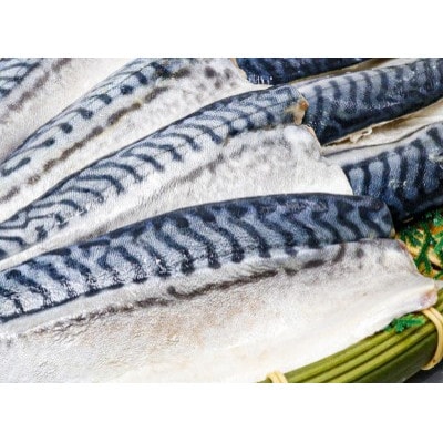 【骨取り】無添加トロさばフィーレ 無塩 5切(約550g)【配送不可地域：離島】【1697849】