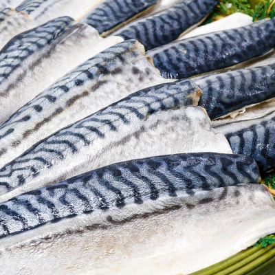 【骨取り】無添加トロさばフィーレ 無塩 20切(約2.2kg)【配送不可地域：離島】【1698287】