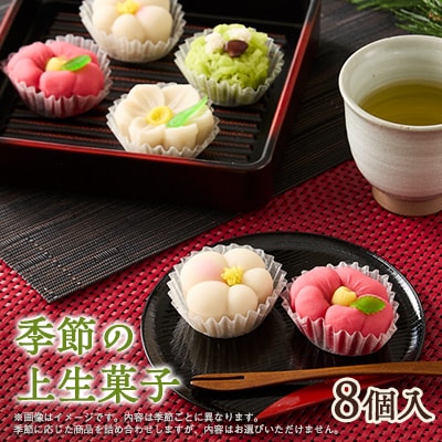 季節の上生菓子　8個入り【配送不可地域：離島】【1591820】