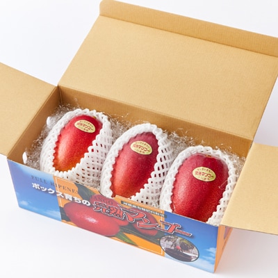 大阪茨木 小川農園の《贈答用》完熟マンゴー約1kg〈2〜3個入〉【R8年7月中旬発送開始】【配送不可地域：離島】【1229124】