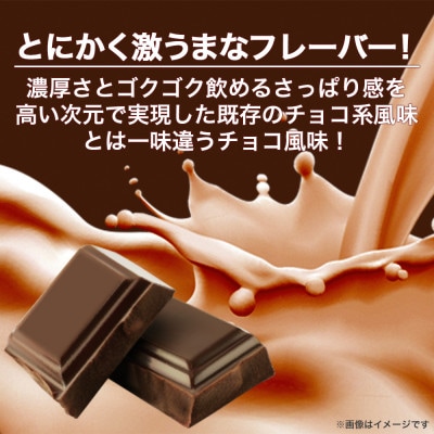ビーレジェンド WPCプロテイン 激うまチョコ風味 1kg×10袋セット【1586063】