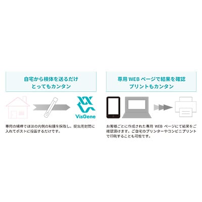 èé
žä»£è¬éºäŒåæ€æ»ãããã1533148ã