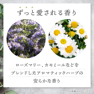 AYURA(ã¢ãŠãŒã©) ã¡ãã£ããŒã·ã§ã³ãã¹t 2æ¬ã1591974ã