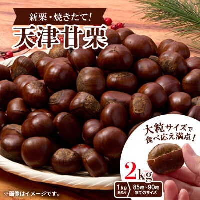 【2kg】新栗ビックサイズ!!焼きたて!!天津甘栗　大粒サイズ　期間限定でお届けします。【1510517】