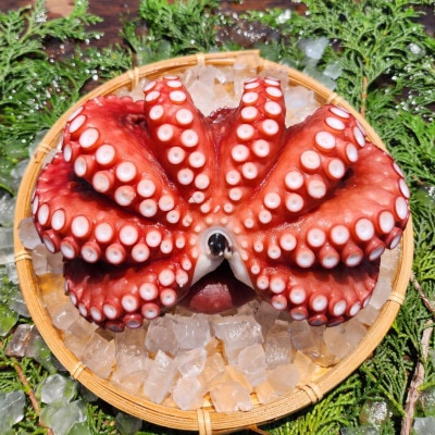 塩もみタコ【配送不可地域：離島】【1694609】