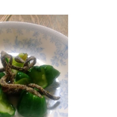 塩昆布(乾燥)いそ松葉 200g 紙袋なし【1222576】