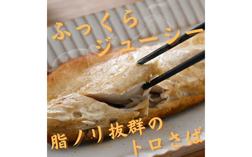 【骨取り】無添加トロさばフィーレ 無塩 10切(約1.1kg)【配送不可地域：離島】【1697861】