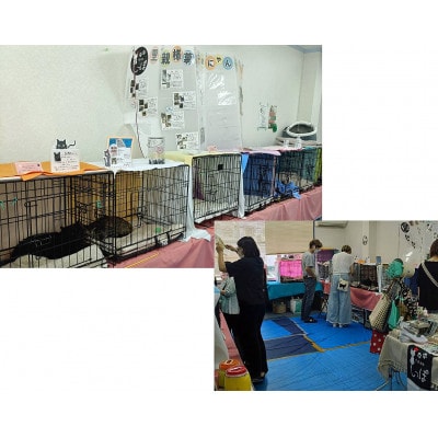 保護猫へのご支援のためのお礼品【チームしっぽ】手作り猫のキャリーケース用クッション【1650164】