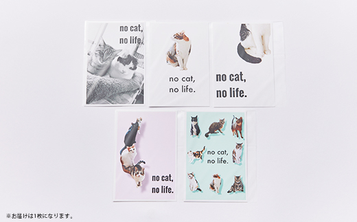 保護猫へのご支援のためのお礼品【保護猫ルームえびす】手作りトートバッグとポストカードセット【1647213】