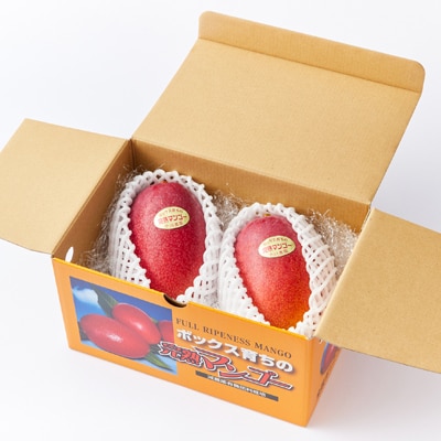 大阪茨木 小川農園の《贈答用》完熟マンゴー約700g〈2個入〉【R8年7月中旬発送開始】【配送不可地域：離島】【1231455】