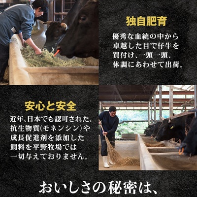 【のし付き】特選和牛〈焼肉薩摩 完熟平野幸一之牛〉ハンバーグ10個【配送不可地域：離島】【1042958】