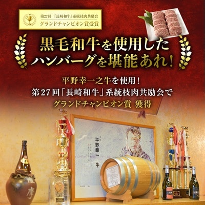 特選和牛〈焼肉薩摩 完熟平野幸一之牛〉ハンバーグ10個【配送不可地域：離島】【1014403】