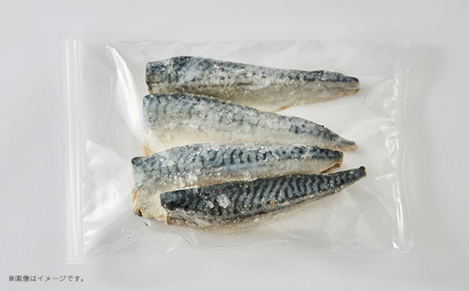 【骨取り】無添加トロさばフィーレ 無塩 10切(約1.1kg)【配送不可地域：離島】【1697861】