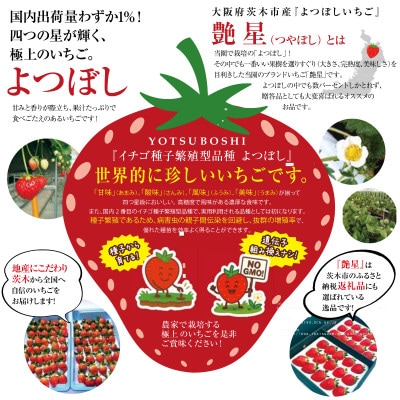 è¶æ(ã€ããŽ)çŽ700gãçŽ800gãçå³ãé
žå³ã颚å³ãæšå³ãåã€æçŽã«çŸå³!æ¡ãããŠããå±ãããŸããé
éäžå¯å°åïŒé¢å³¶ãã1651647ã