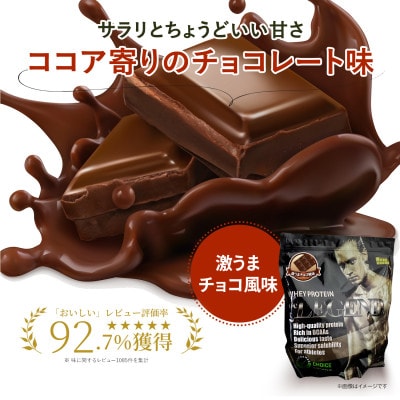 ビーレジェンド WPCプロテイン 激うまチョコ風味 1kg×3袋セット【1586054】