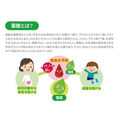 èé
žä»£è¬éºäŒåæ€æ»ãããã1533148ã