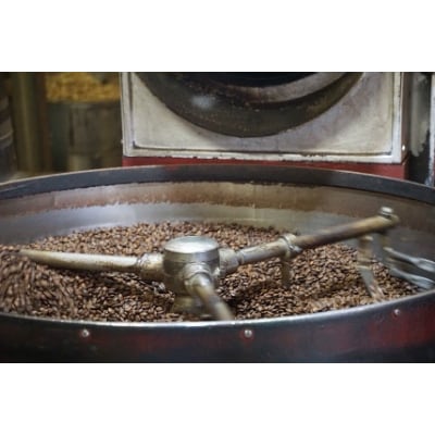 【毎月定期便】自家焙煎珈琲　旬のスペシャルティコーヒーセット(粉)全12回【4001728】