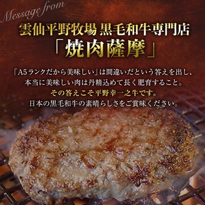 特選和牛〈焼肉薩摩 完熟平野幸一之牛〉ハンバーグ10個【配送不可地域：離島】【1014403】