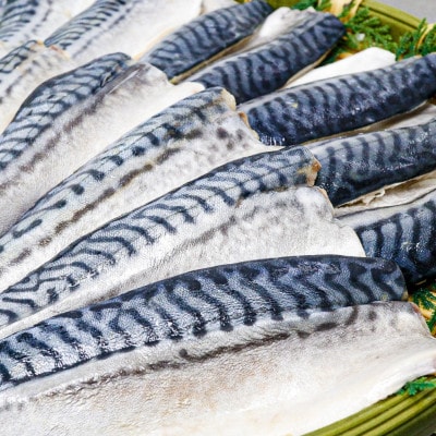 【骨取り】無添加トロさばフィーレ 無塩 15切(約1.6kg)【配送不可地域：離島】【1698286】