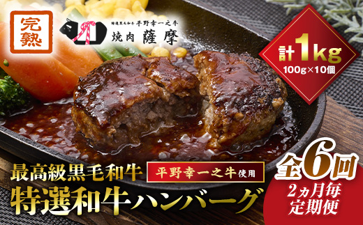 【2ヵ月毎定期便】特選和牛(焼肉薩摩の完熟平野幸一之牛)ハンバーグ10個全6回【配送不可地域：離島】【4050394】